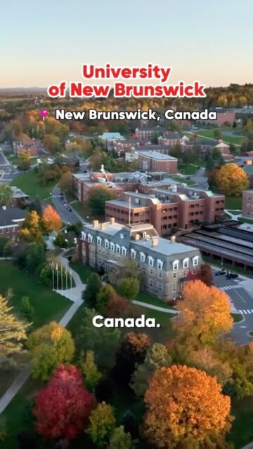 Build your future abroad with University of New Brunswick — ranked among the top 5.3% of universities worldwide! 🌎🎓

Why choose the University of New Brunswick?
✨ 230+ years of excellence — established in 1785
🎓 100+ Bachelor’s & Master’s programs to choose from
💰 Scholarship opportunities available for eligible students
🌎 Diverse & inclusive community with students from around the world
🍁 Live, study & grow in one of Canada’s best places to live

Your global future starts here. Join our Info Session: 
📆 Sabtu, 17 Oktober 2026
⏰ 11.00 WIB
📍 Brew and Else, PIK

GRATIS! RSVP: 0851-0000-8130

#StudyinCanada #StudyAbroad #KuliahLuarNegeri #BeasiswaLuarNegeri #universityofbrunswick
