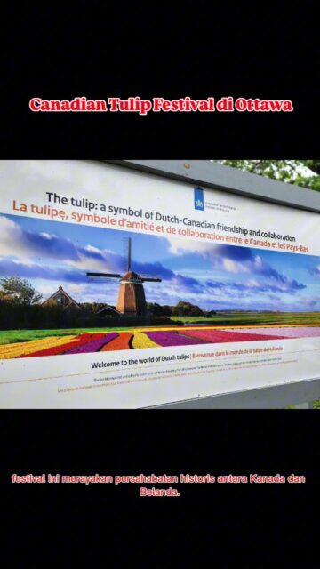 🌷 Berkunjung ke Canadian Tulip Festival 🇨🇦

Hi, Students!
Kali ini Ms. Ratna, Konselor Universal Study Abroad Indonesia, mau mengajak kalian jalan-jalan virtual ke Canadian Tulip Festival di Ottawa 🌷✨

Festival cantik ini diadakan setiap bulan Mei dan menjadi salah satu event musim semi paling terkenal di Kanada!

Kira-kira siapa nih yang bulan Mei nanti akan berada di Kanada? 👀
Jangan lupa mampir ke festival ini dan share pengalaman kalian juga yaa!

#studyabroad #studyincanada #kuliahluarnegeri #universalstudyabroad